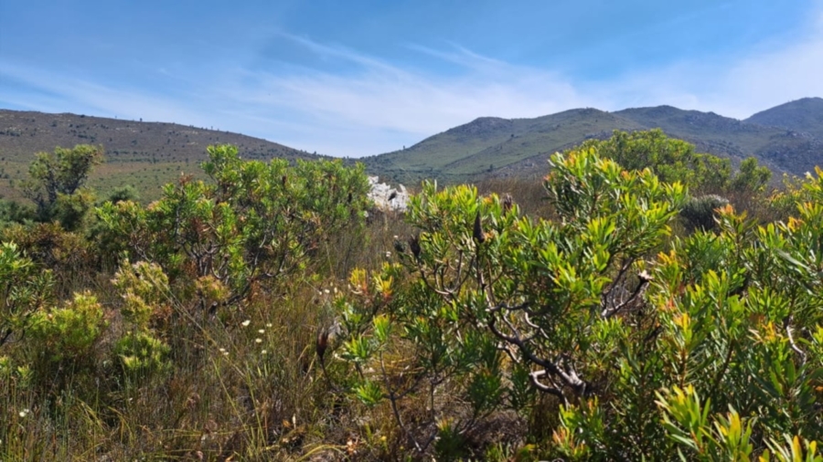 0 Bedroom Property for Sale in Caledon Rural Western Cape